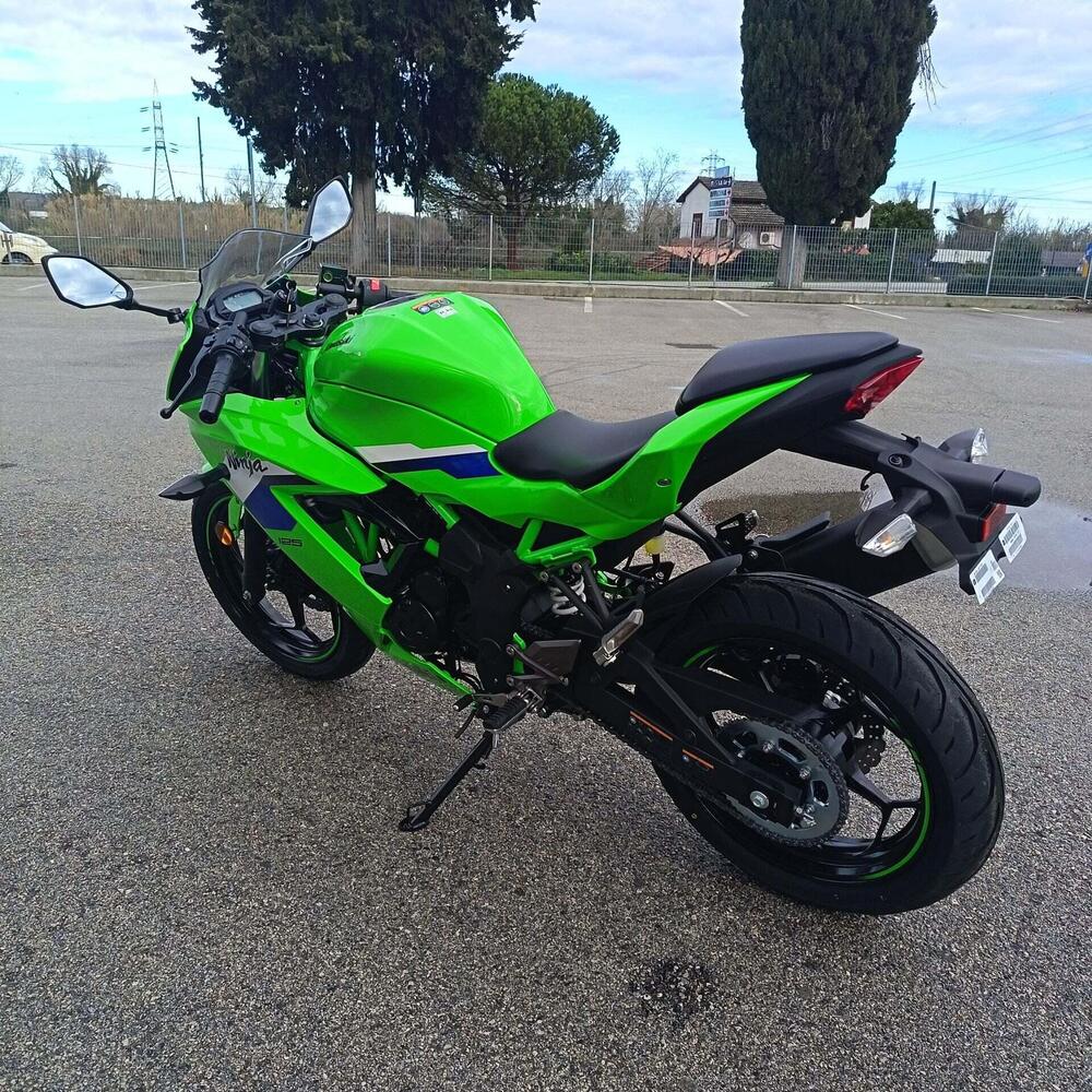 Kawasaki Ninja 125 (2025 - 26) (6)