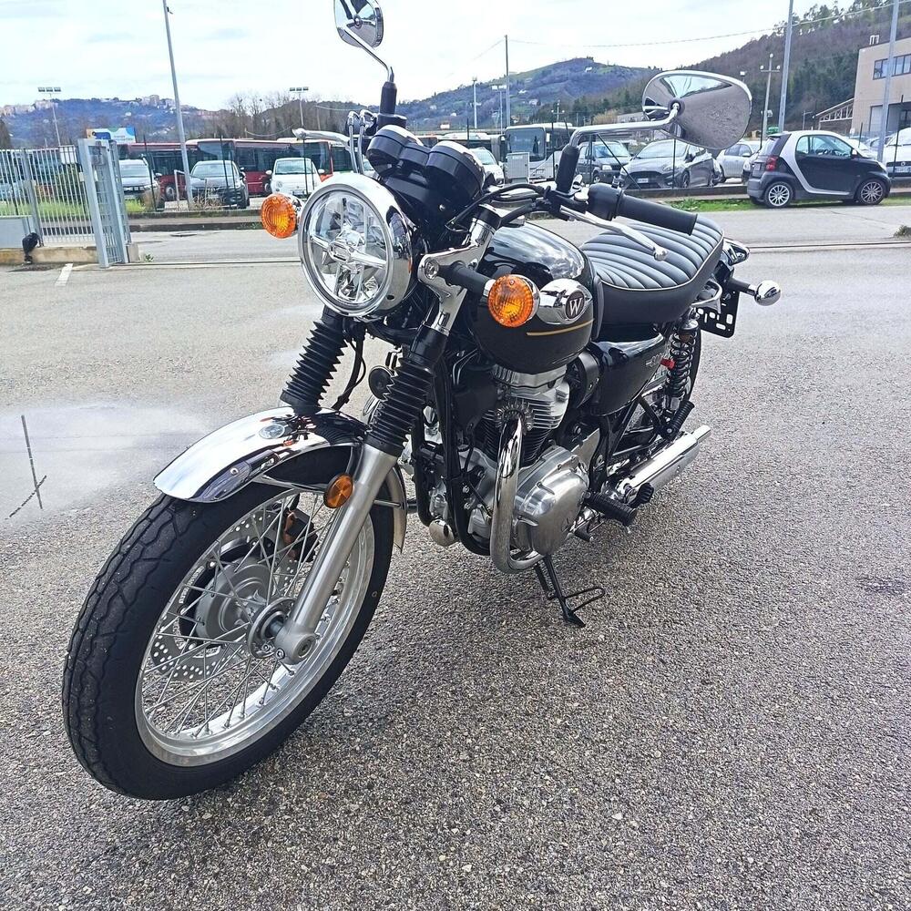 Kawasaki W 800 (2021 - 26) (4)