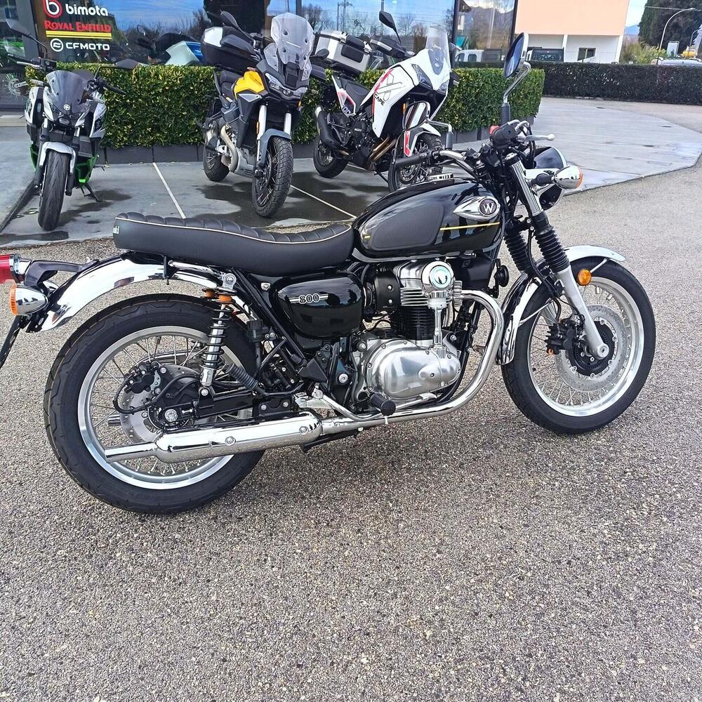 Kawasaki W 800 (2021 - 26) (5)