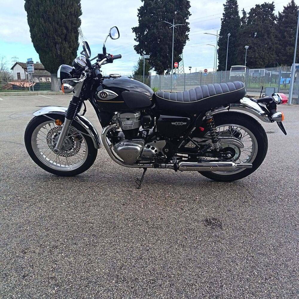 Kawasaki W 800 (2021 - 26) (7)