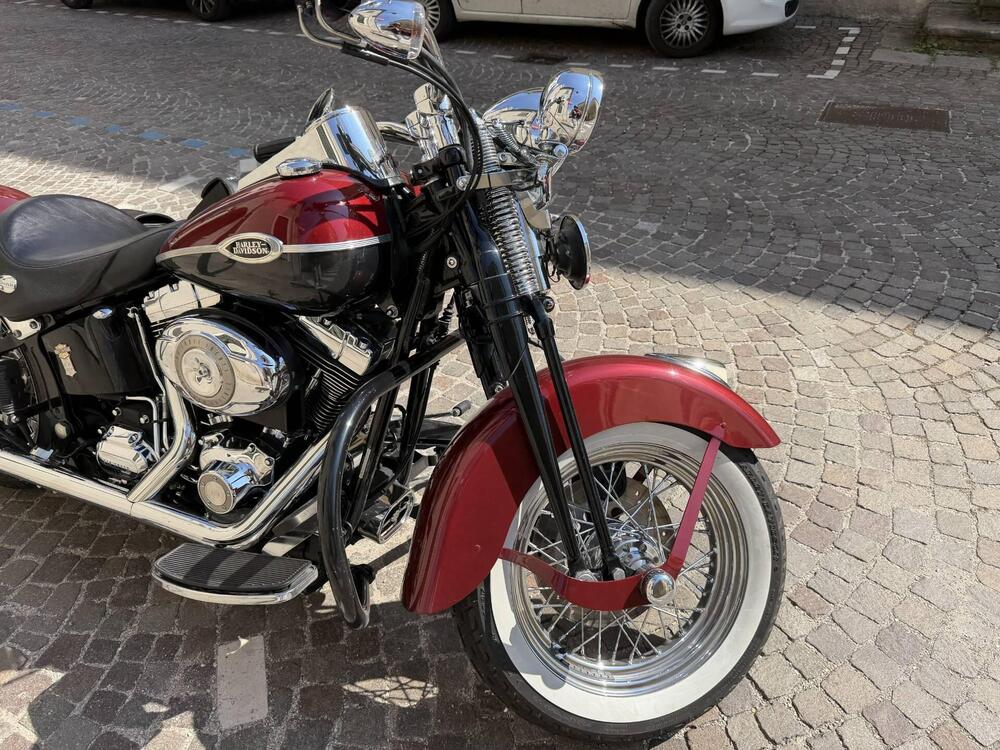 Harley-Davidson 1584 Springer Classic (2006 - 07) - FLSTSC (2)