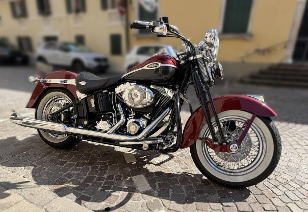 Harley-Davidson 1584 Springer Classic (2006 - 07) - FLSTSC (3)