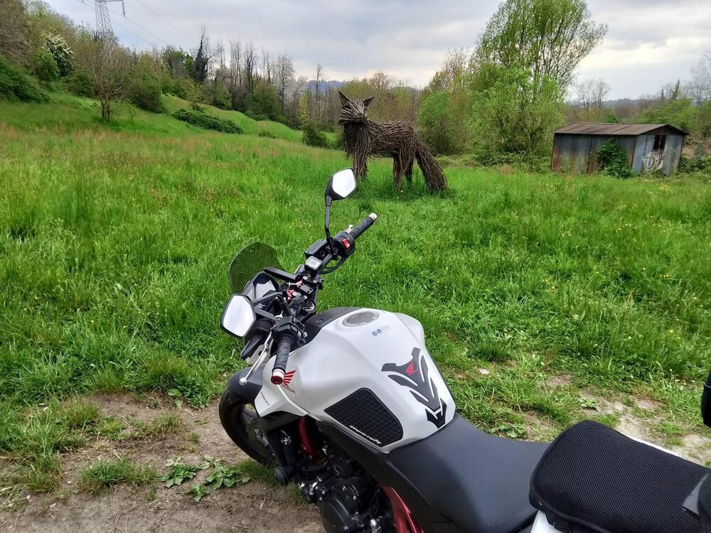 Honda CB 750 Hornet (2023 - 24)