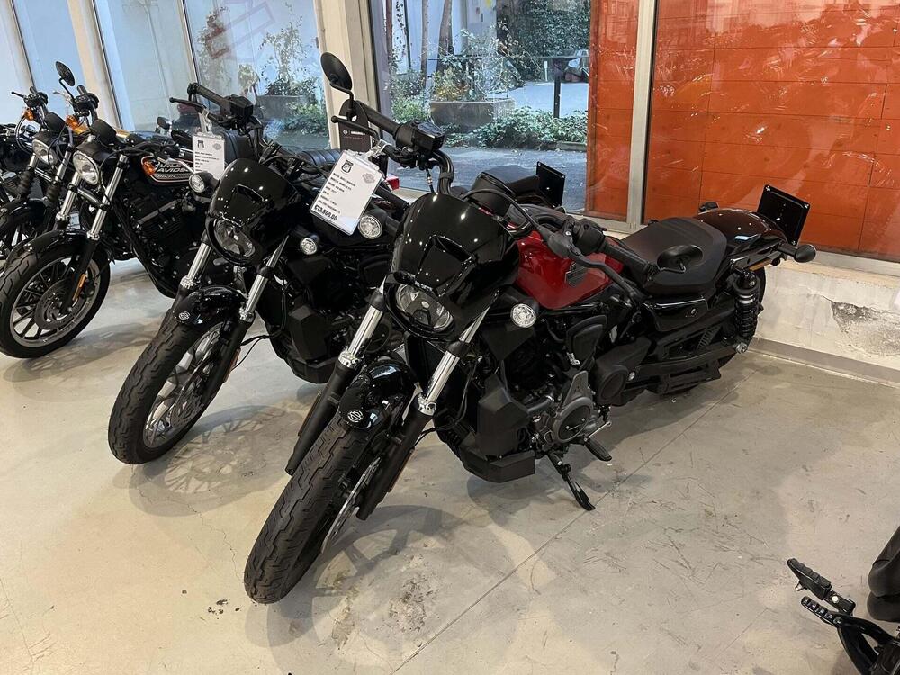 Harley-Davidson Nightster (2023 - 26)