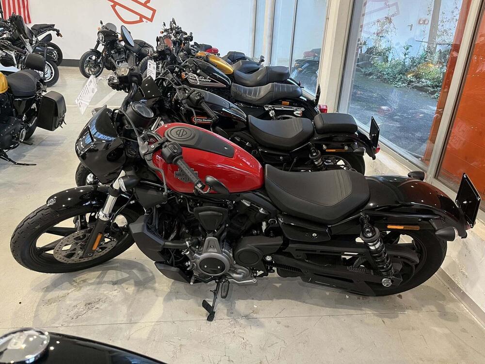 Harley-Davidson Nightster (2023 - 26) (2)