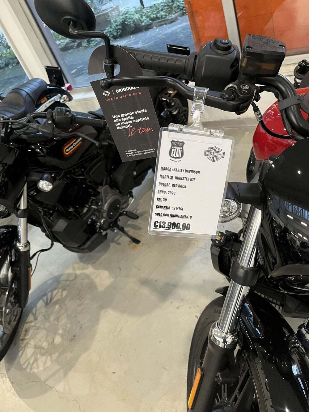 Harley-Davidson Nightster (2023 - 26) (5)