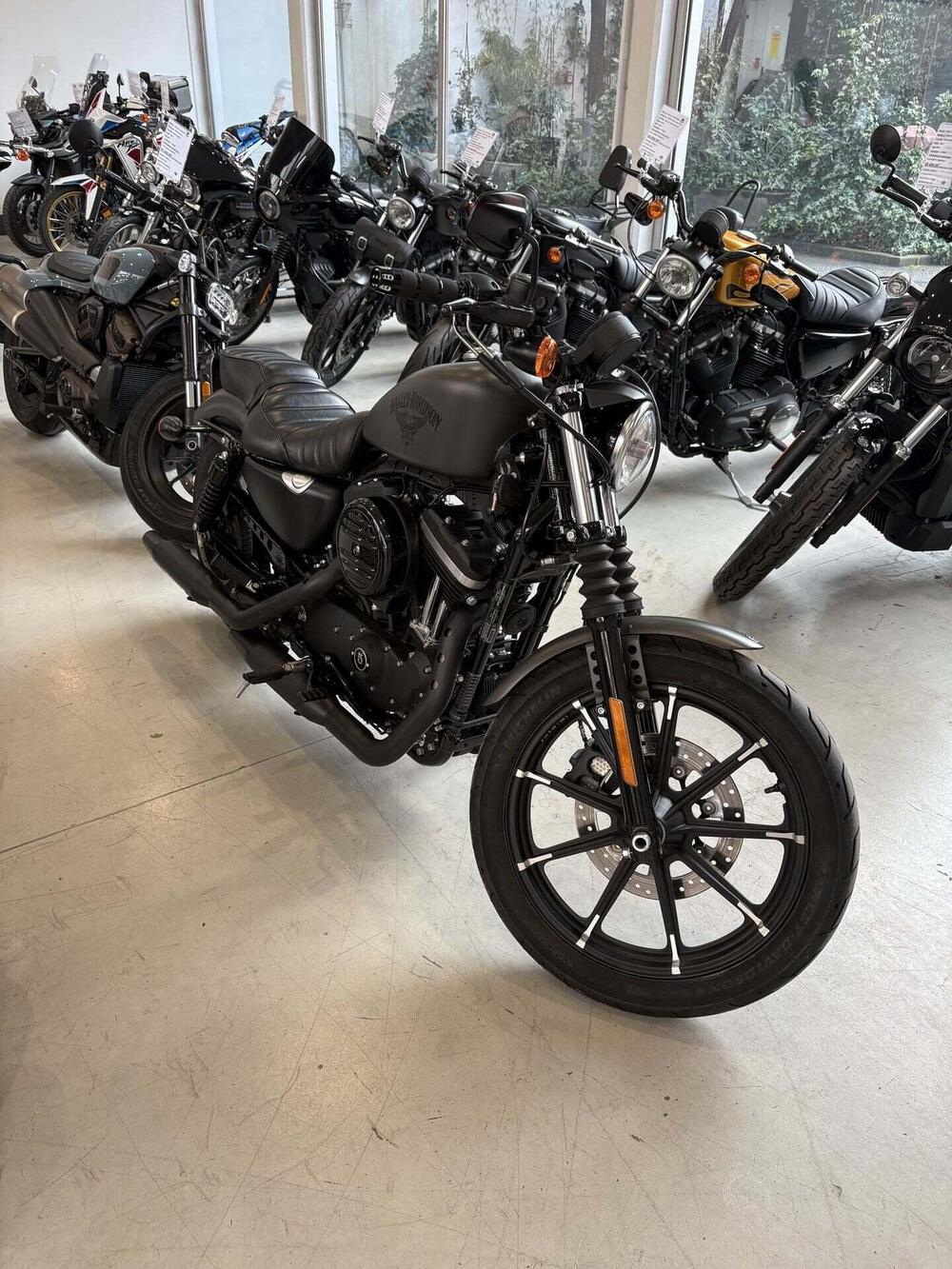 Harley-Davidson 883 Iron (2017 - 20) - XL 883N (2)