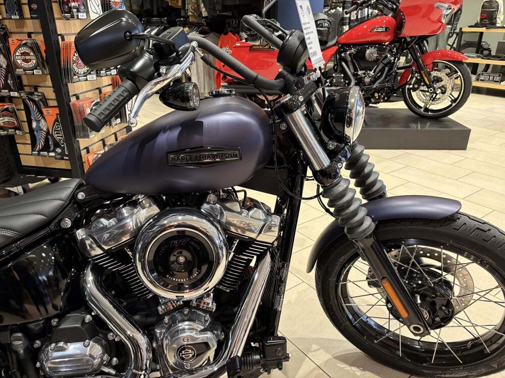 Harley-Davidson Street Bob 117 (2025 - 26) (2)