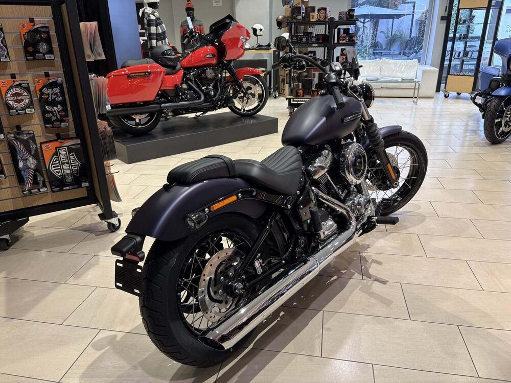 Harley-Davidson Street Bob 117 (2025 - 26) (5)