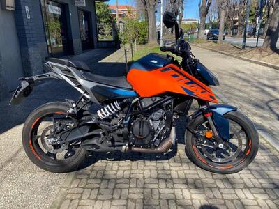 KTM 125 Duke (2024 - 25) usata
