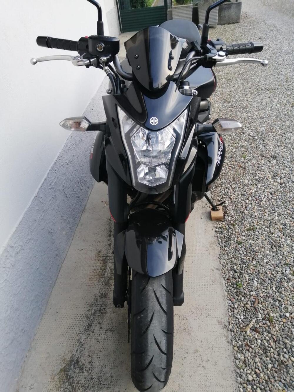 Kawasaki ER-6N (2012 - 13) (4)