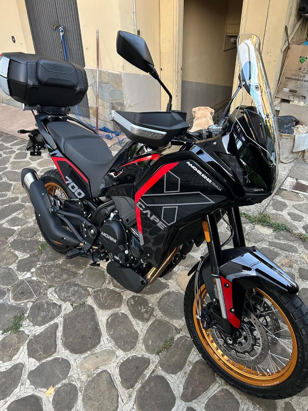 Moto Morini X-Cape 700 Gold Edition (2025 - 26) (2)