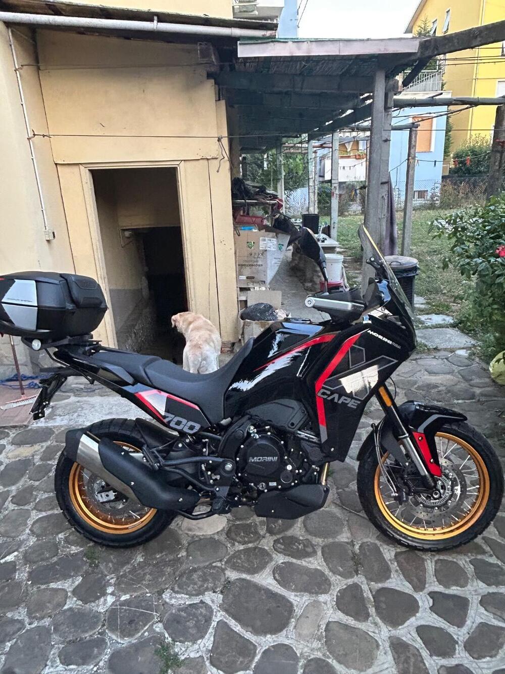 Moto Morini X-Cape 700 Gold Edition (2025 - 26) (3)