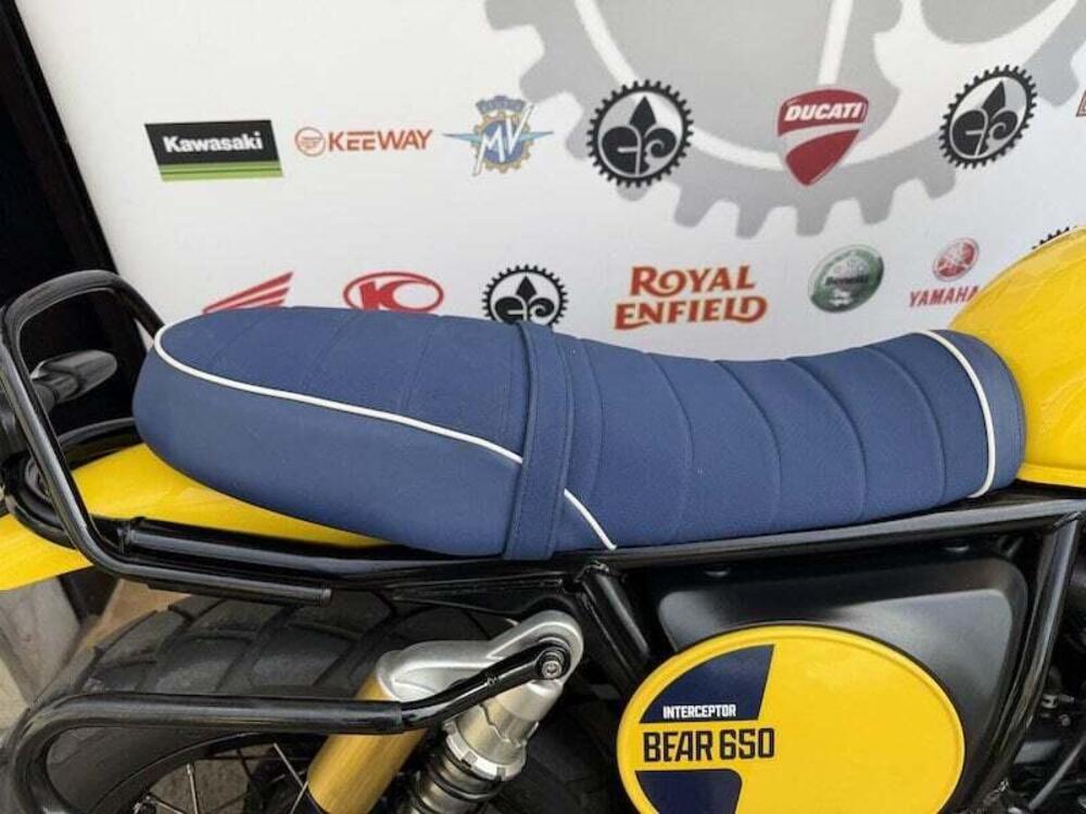 Royal Enfield Bear 650 (2025 - 26) (6)
