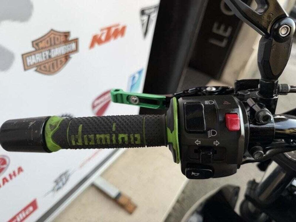 Kawasaki ER-6N (2005 - 08) (17)