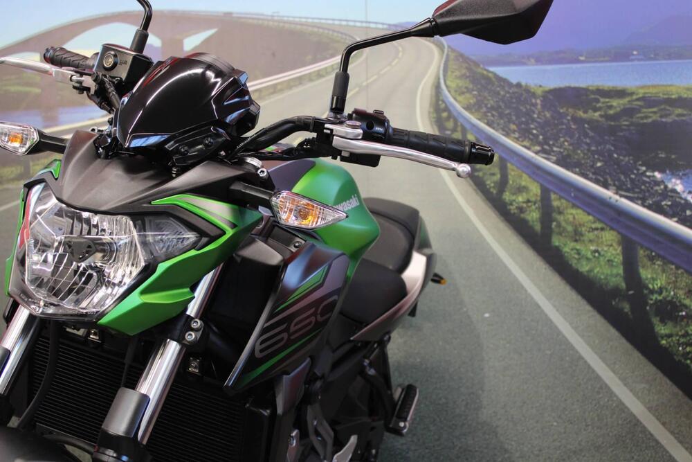 Kawasaki Z 650 (2017 - 19) (11)