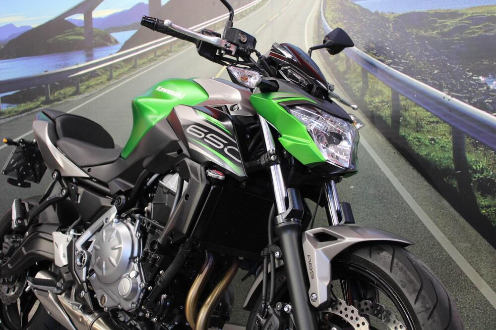 Kawasaki Z 650 (2017 - 19) (12)