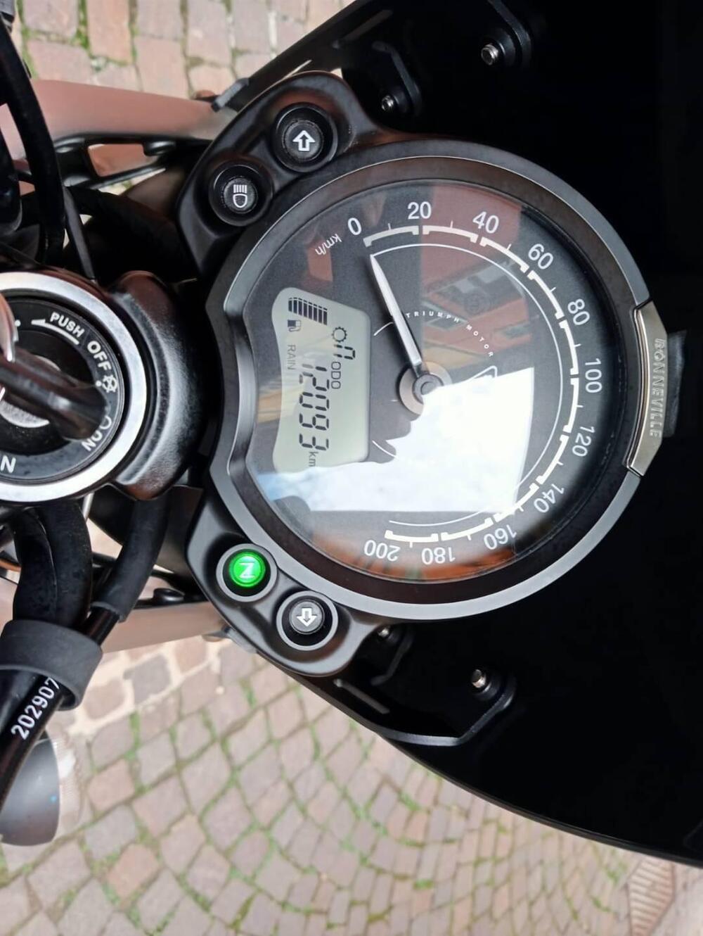 Triumph Speed Twin 900 (2023 - 24) (3)