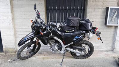 Honda CRF 300L (2021 - 24) usata