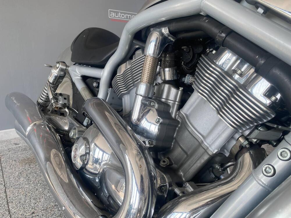 Harley-Davidson 1130 V-Rod (2002 - 05) - VRSCA (10)