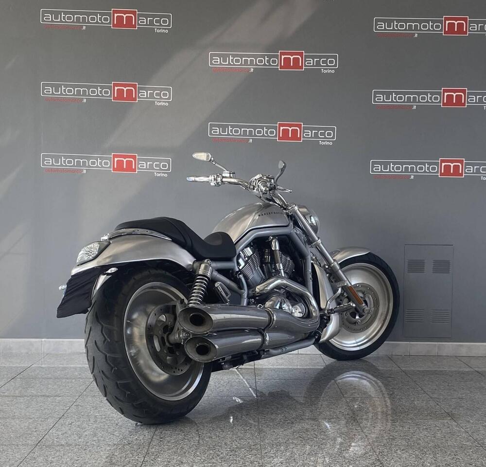Harley-Davidson 1130 V-Rod (2002 - 05) - VRSCA (5)