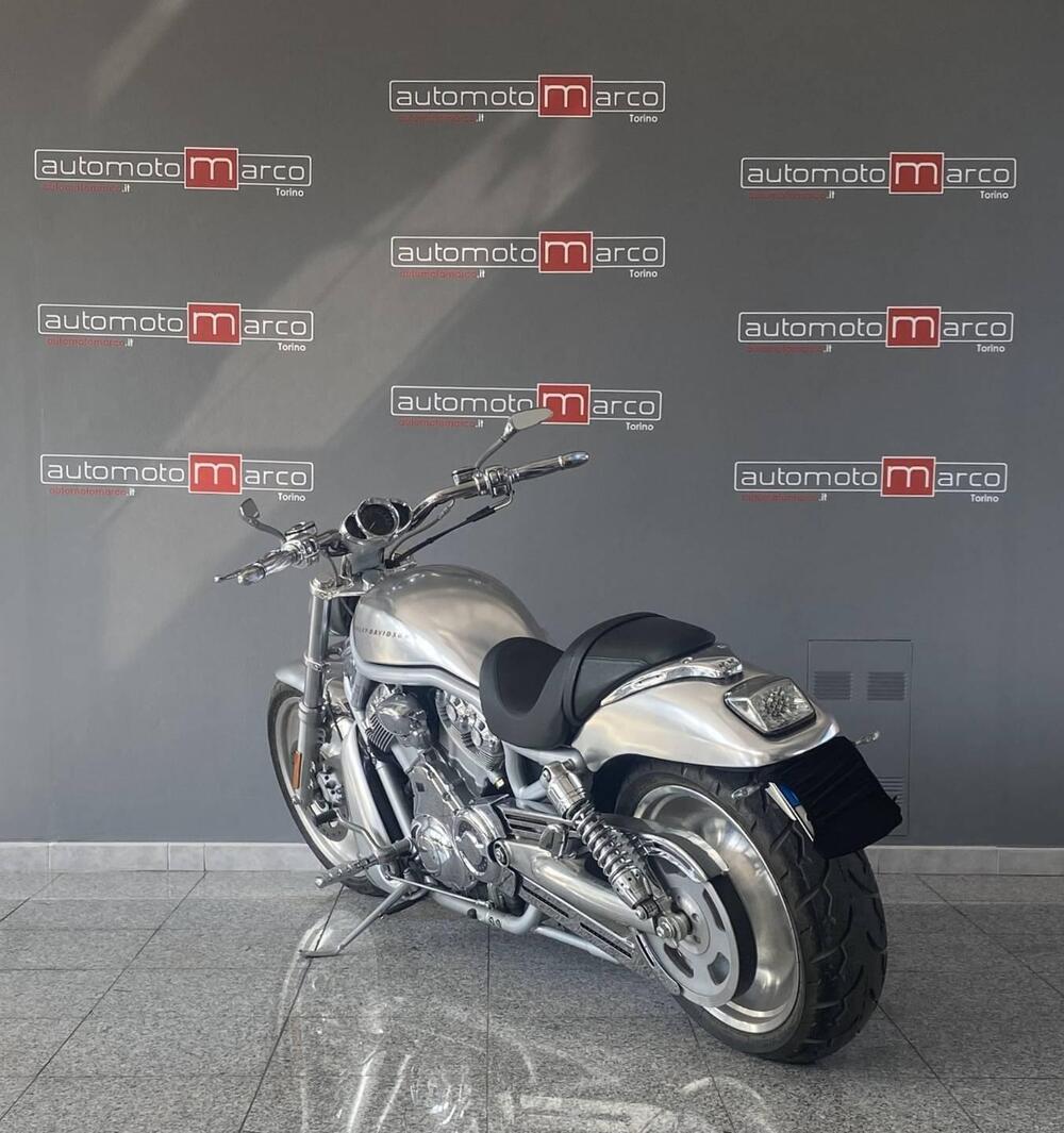 Harley-Davidson 1130 V-Rod (2002 - 05) - VRSCA (7)