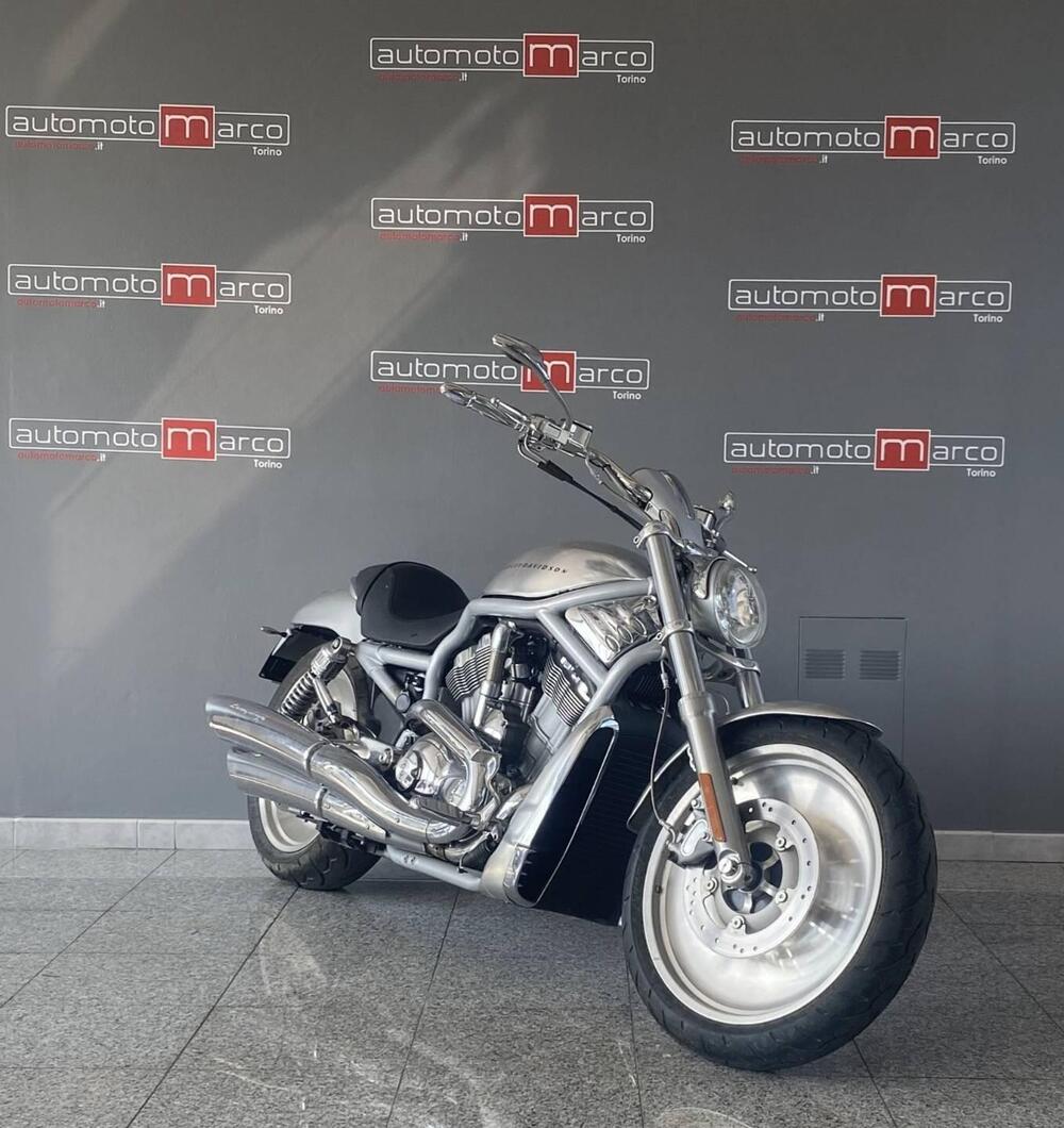 Harley-Davidson 1130 V-Rod (2002 - 05) - VRSCA