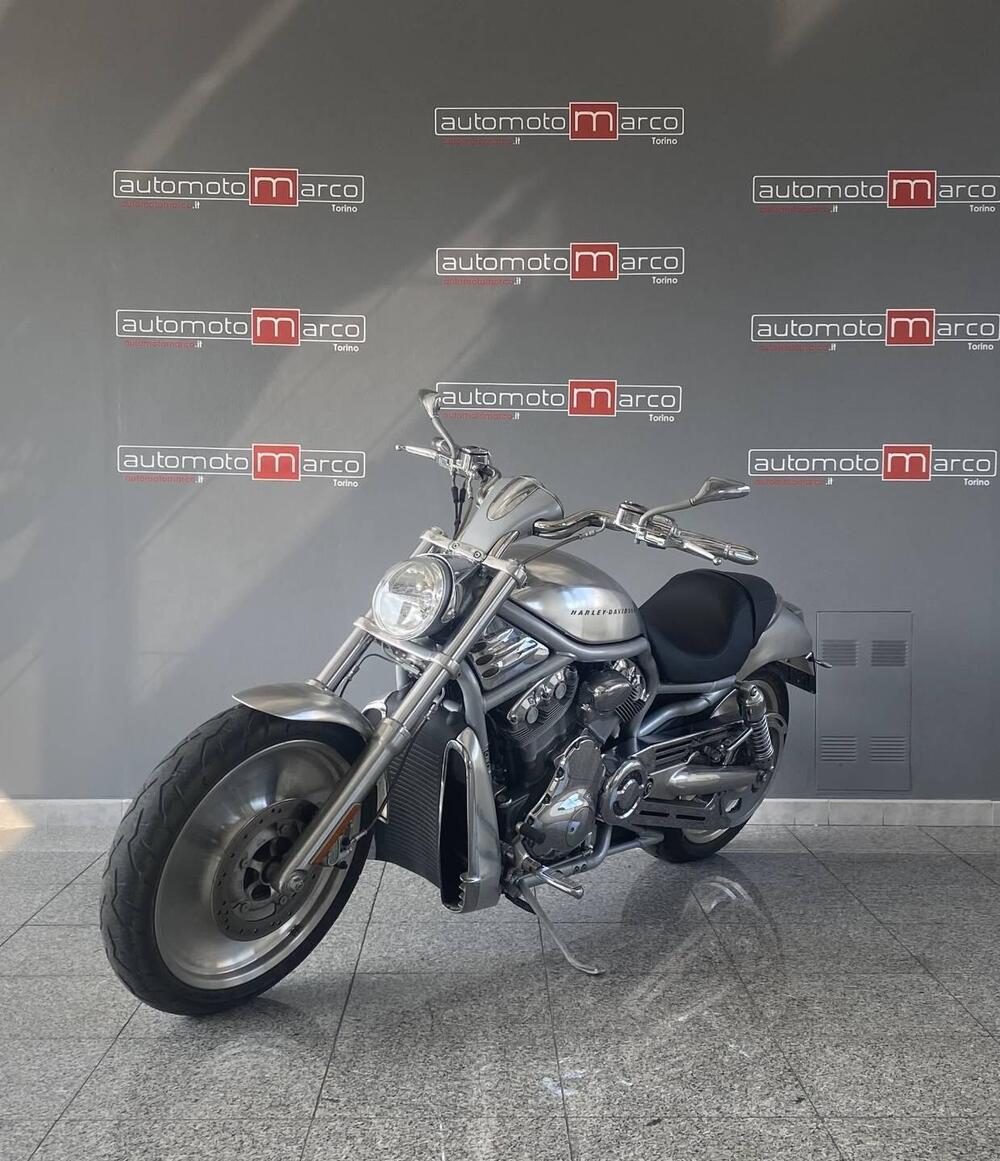 Harley-Davidson 1130 V-Rod (2002 - 05) - VRSCA (4)