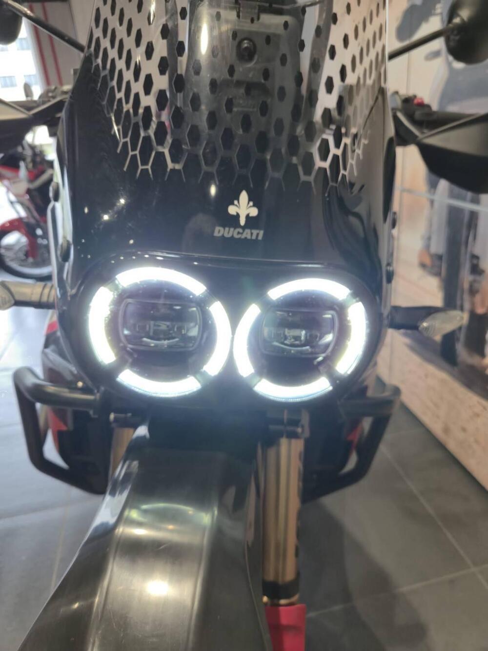 Ducati DesertX Rally (2024 - 25) (13)