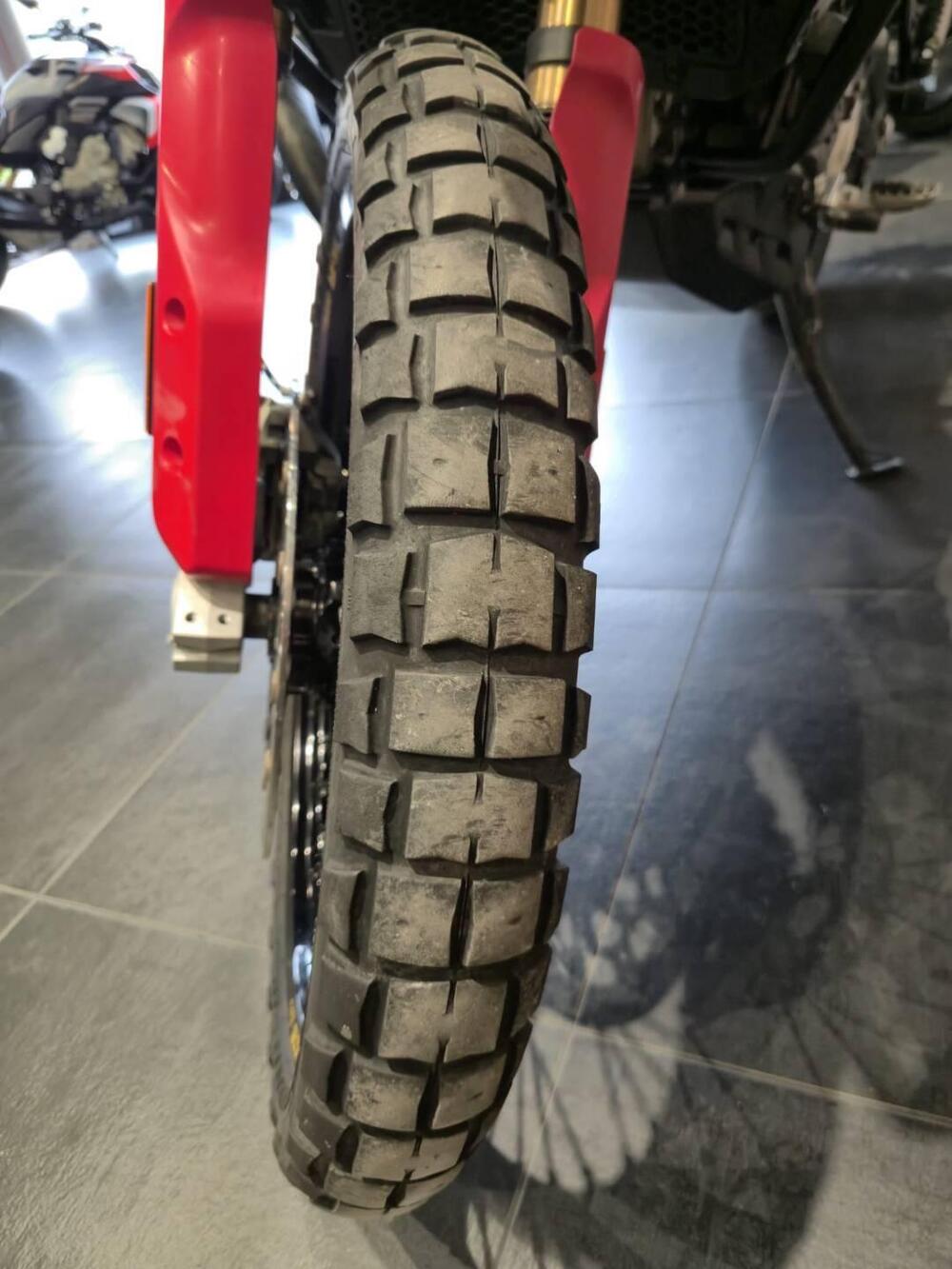 Ducati DesertX Rally (2024 - 25) (15)