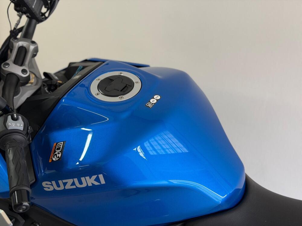 Suzuki GSX-S1000 (2021 - 25) (3)