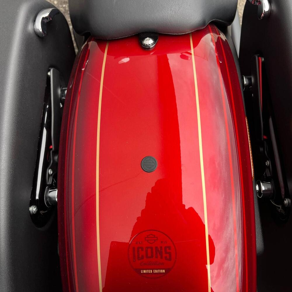 Harley-Davidson Low Rider ST (2022 - 24) (13)