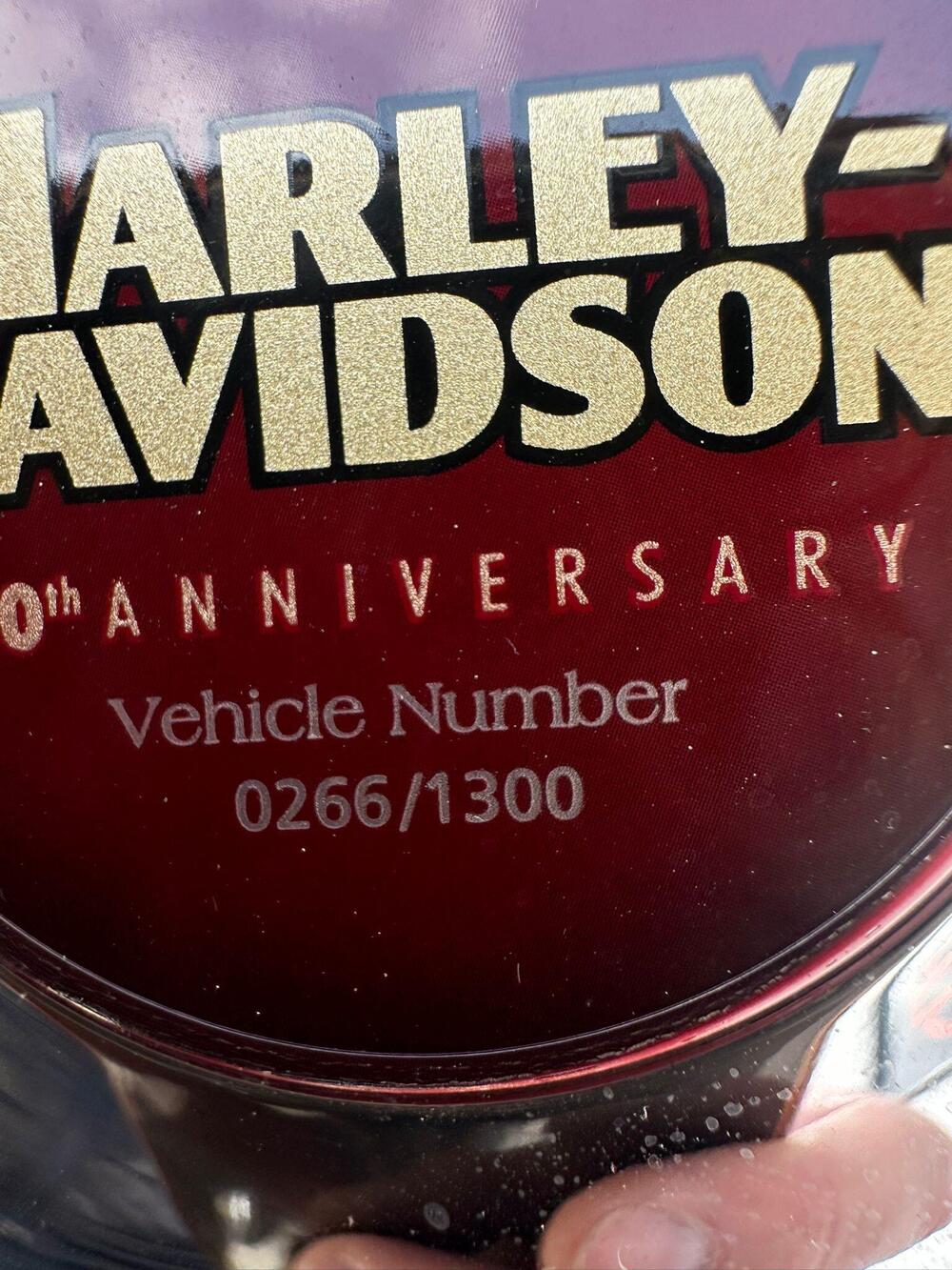 Harley-Davidson Ultra Limited Anniversary (2023) (7)