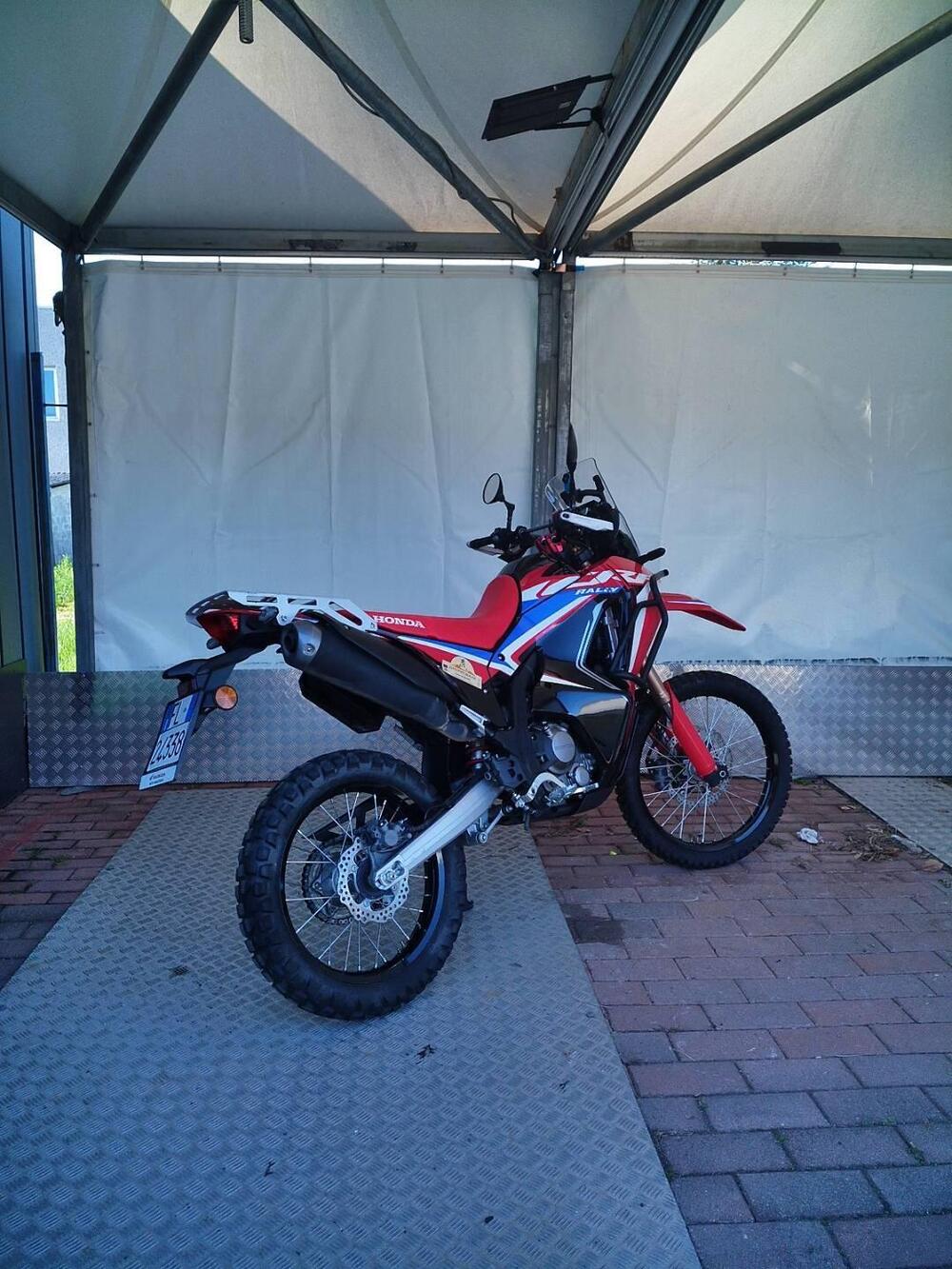 Honda CRF 300 Rally (2025 - 26) (4)