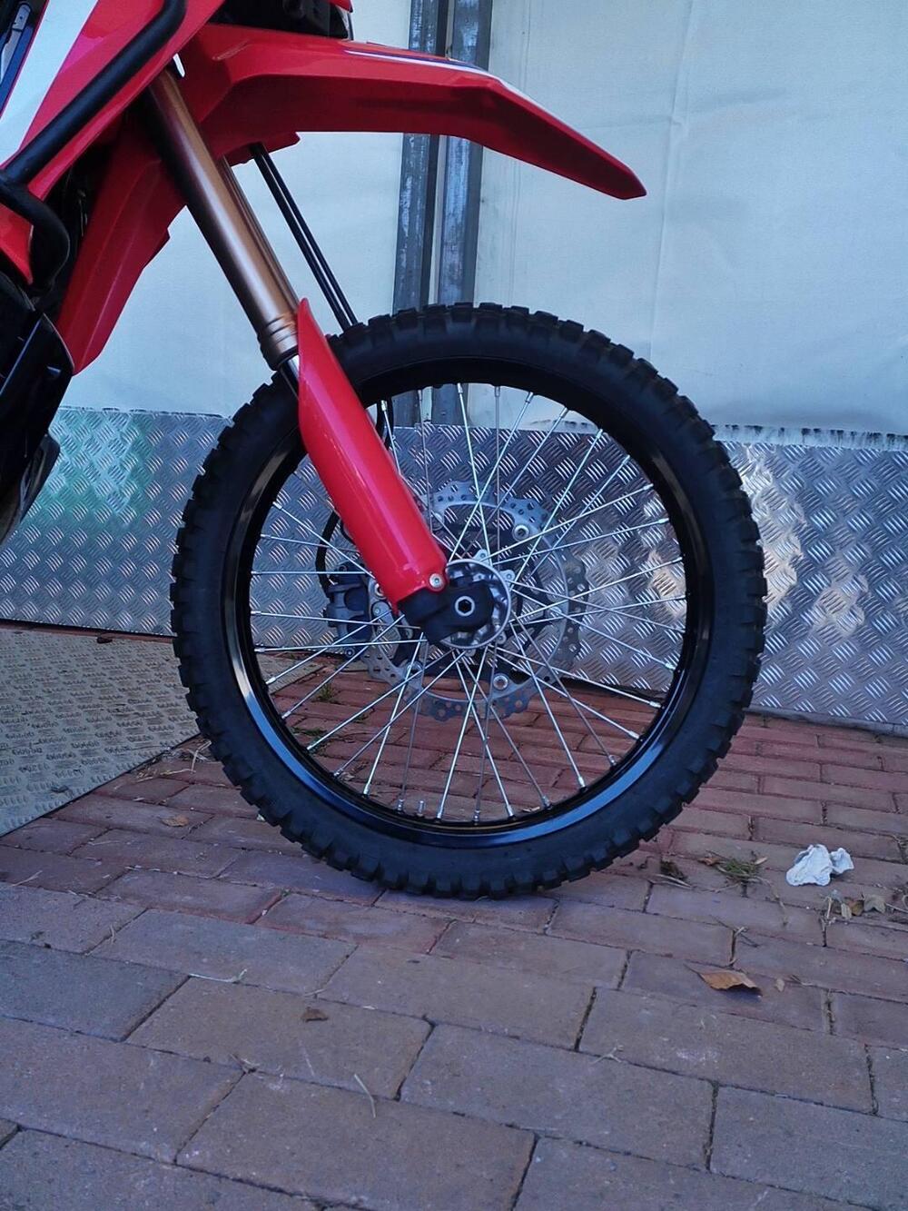 Honda CRF 300 Rally (2025 - 26) (12)