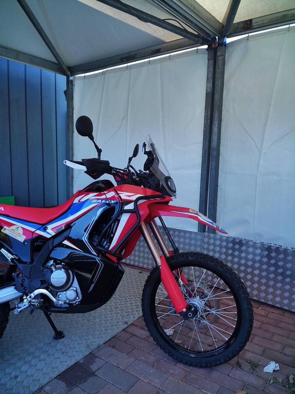 Honda CRF 300 Rally (2025 - 26) (10)