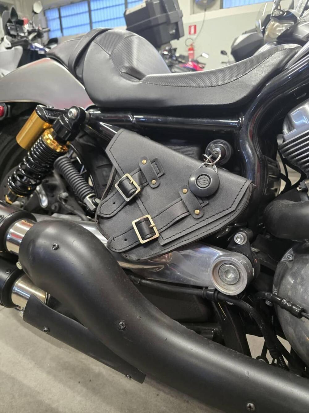 Harley-Davidson 1130 V-ROD (2002 - 05) - VRSCB (7)