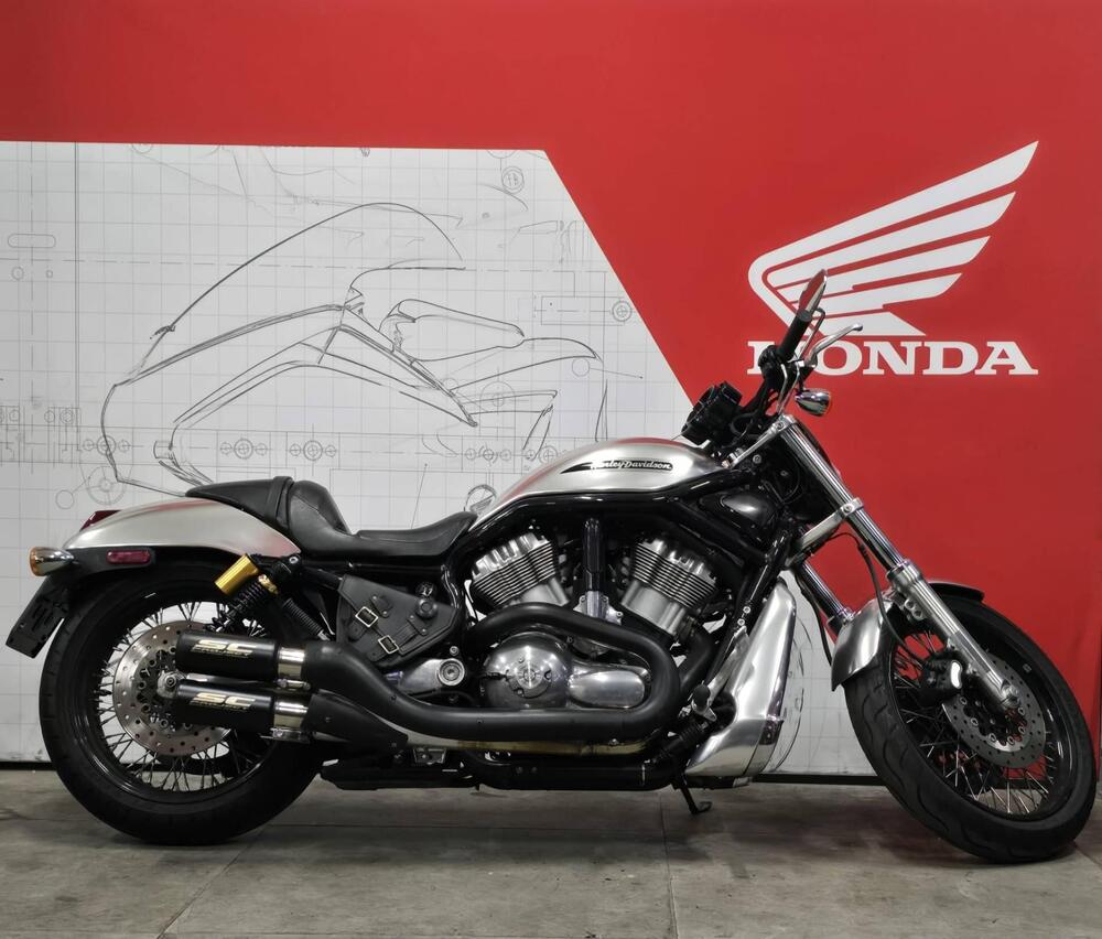 Harley-Davidson 1130 V-ROD (2002 - 05) - VRSCB (3)