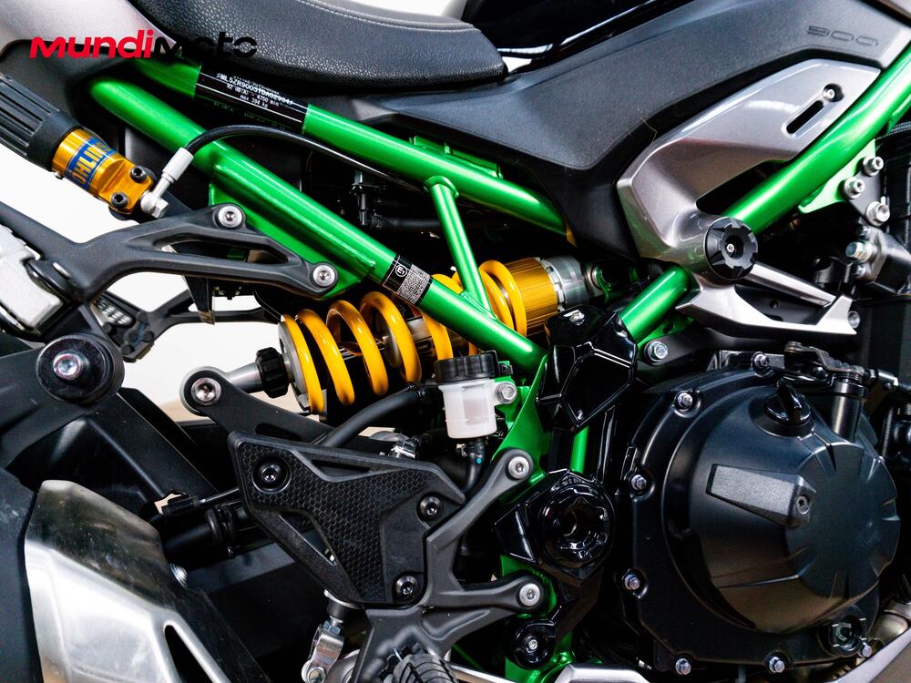Kawasaki Z 900 SE (2025 - 26) (4)
