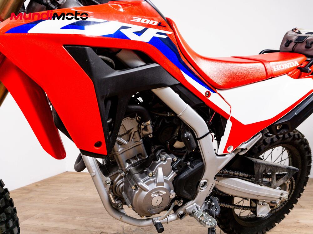 Honda CRF 300 Rally (2021 - 24) (9)