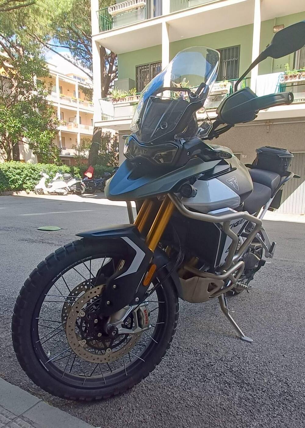 Triumph Tiger 900 Rally Pro (2024 - 26) (2)