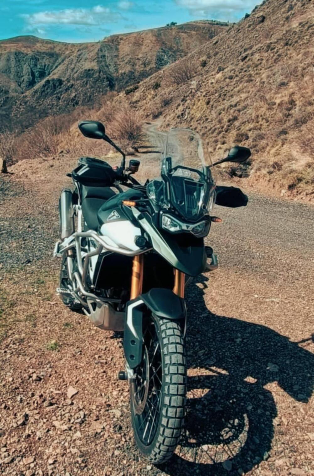 Triumph Tiger 900 Rally Pro (2024 - 26) (6)