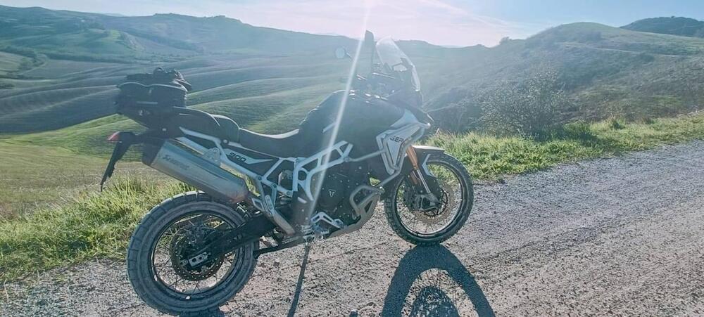 Triumph Tiger 900 Rally Pro (2024 - 26) (7)