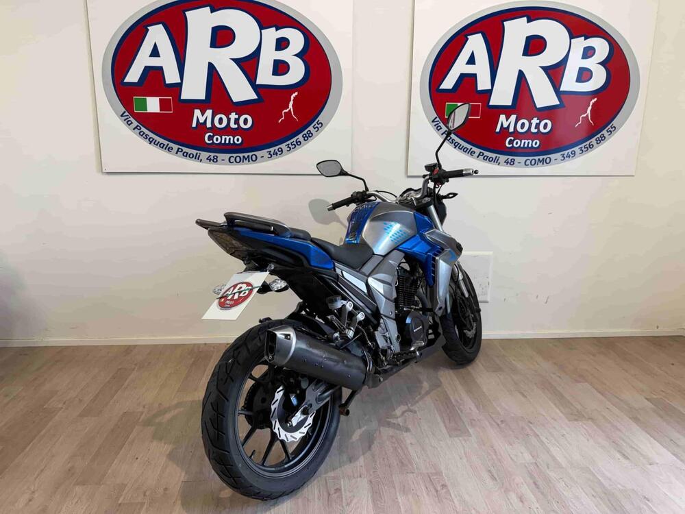 Senke Naked 125 Sport SK (2017 - 20) (5)