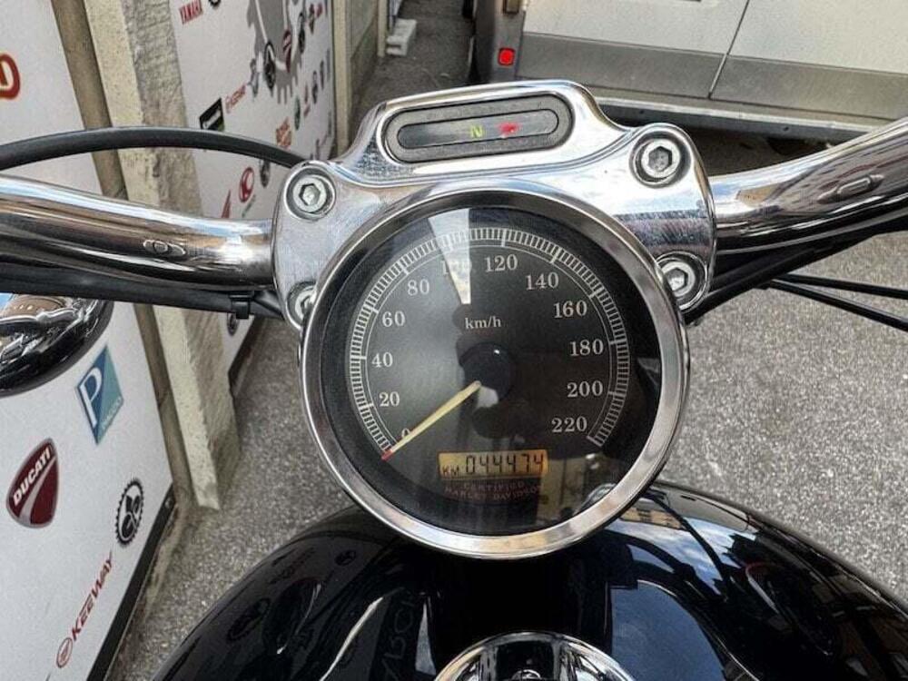 Harley-Davidson 883 Custom (2001 - 05) - XL 53C (17)