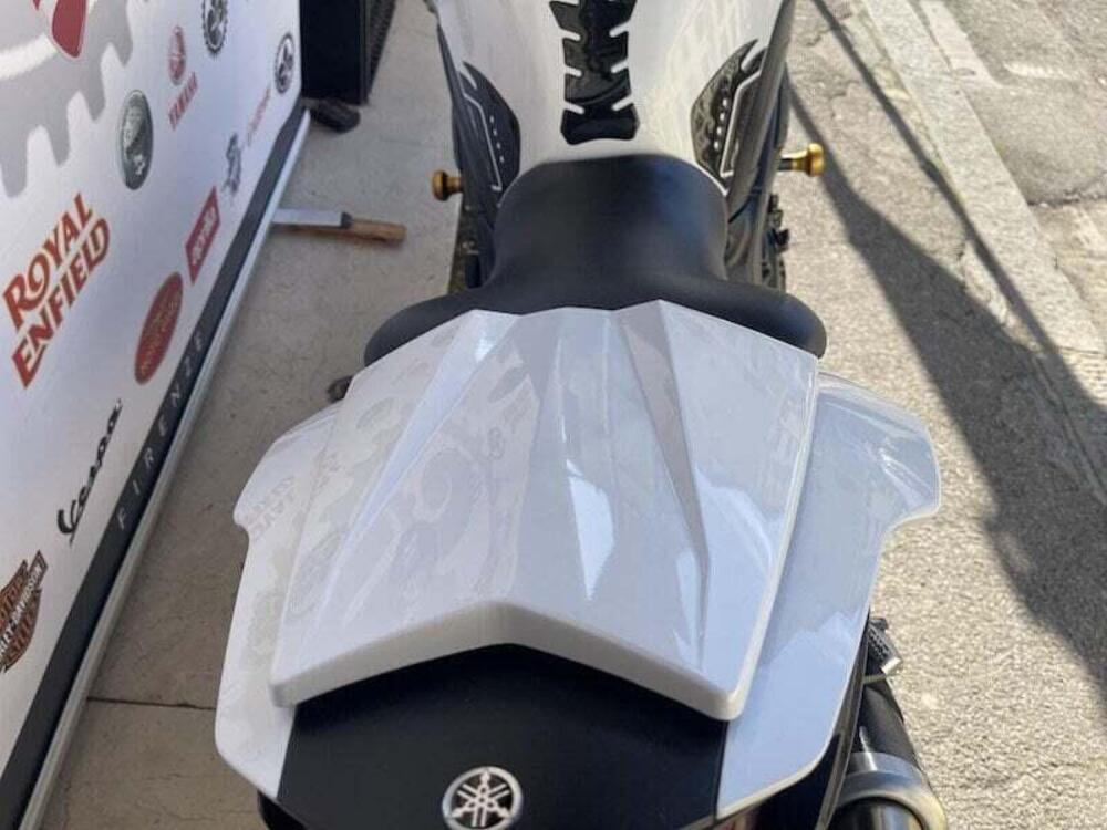 Yamaha FZ8 (2010 - 12) (16)