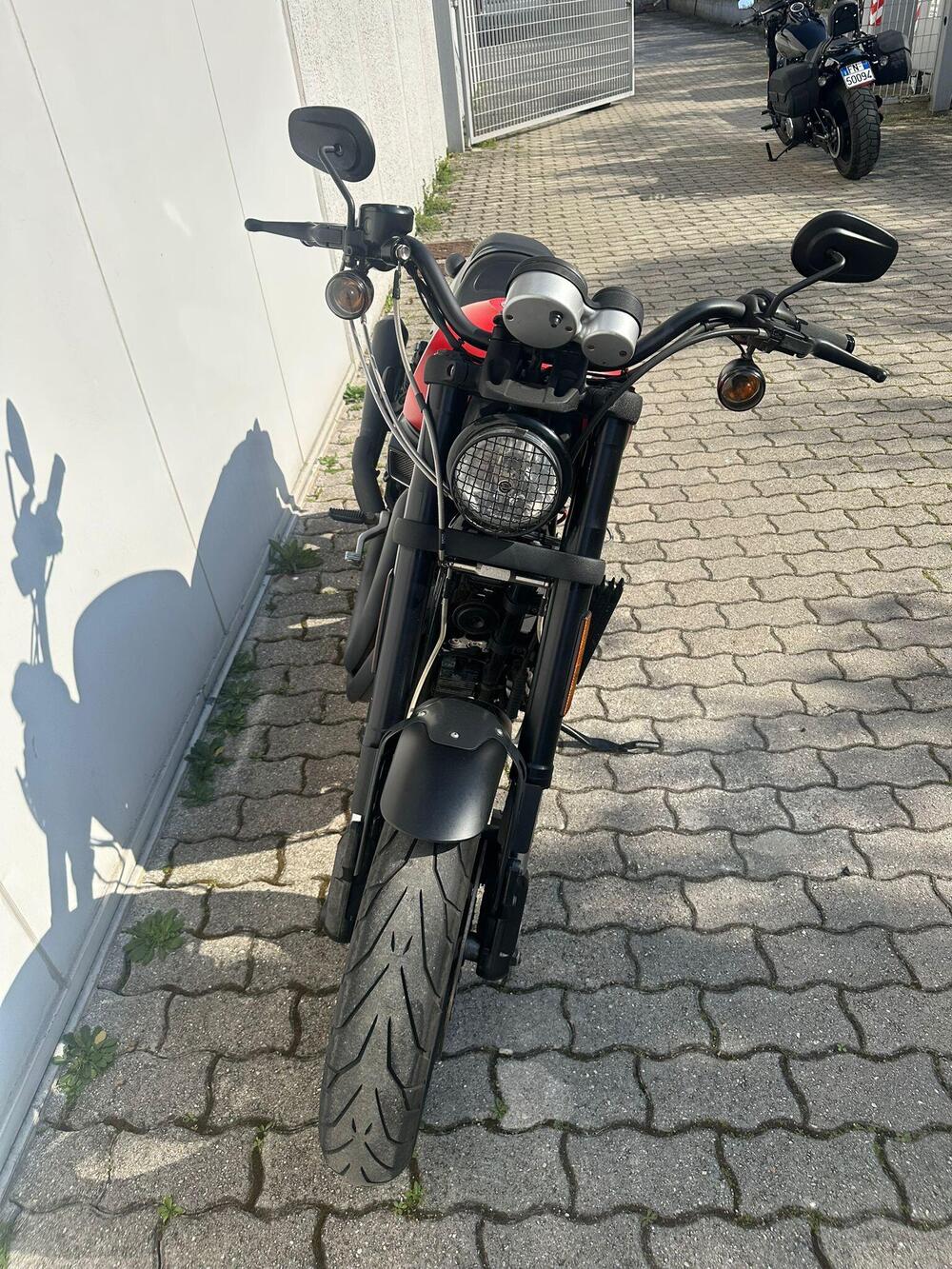 Harley-Davidson 1200 XR X (2010 - 12) (5)