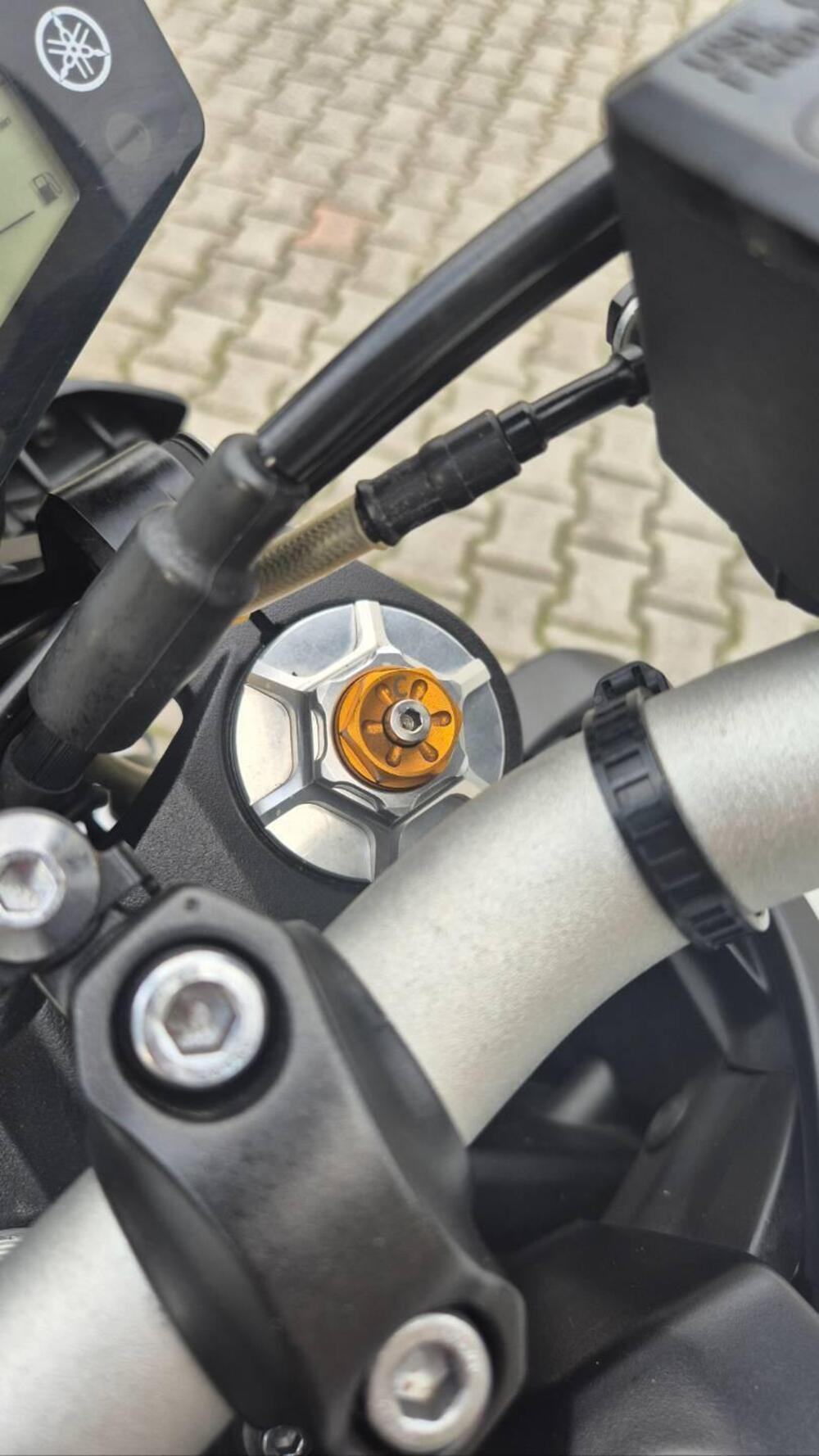 Yamaha MT-09 (2017 - 20) (11)