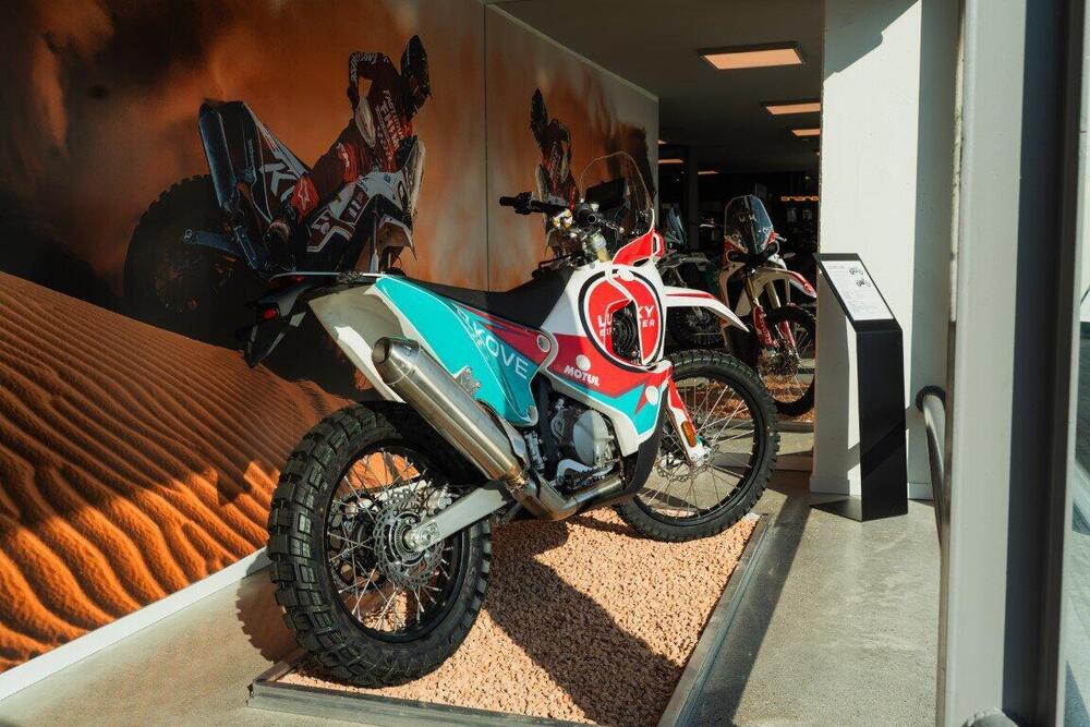 Kove 450 Rally Lucky Explorer Replica (2025 - 26) (11)