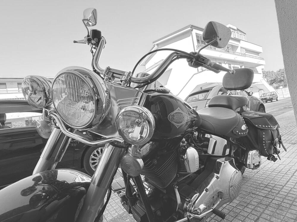 Harley-Davidson 1450 Heritage Classic (1999 - 02) - FLSTC (2)